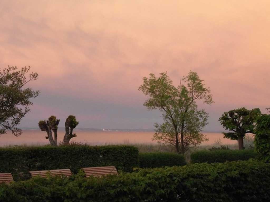 Appartamento Duenen-Residenz A 20 Heringsdorf  Esterno foto